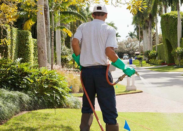 About Nineveh NY Pest Control